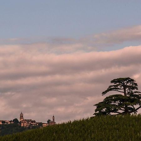 Villa Goccia Di Vino La Morra Luaran gambar