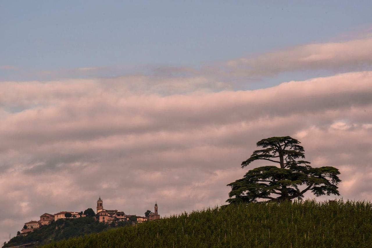 Villa Goccia Di Vino La Morra Luaran gambar